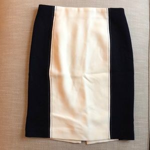 Ann Taylor skirt